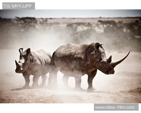 全球足球明星精彩瞬间合集尽在这里让你一览无余